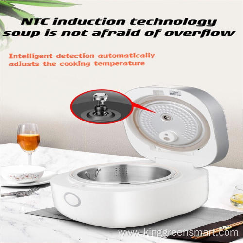 Multi-Function Portable Rice Cooker